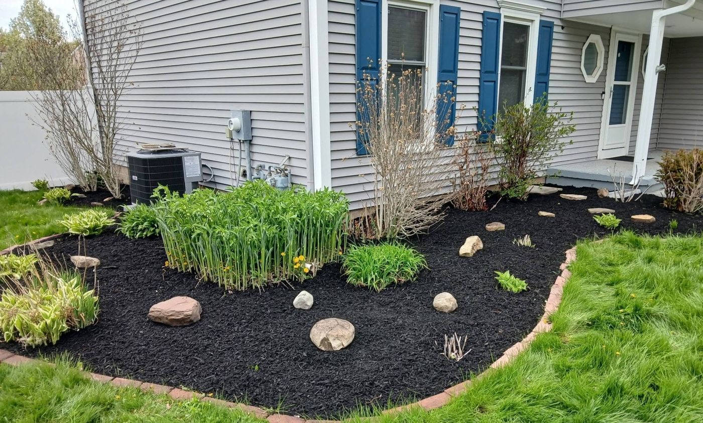 Large foundation bed freshly mulched with feature stones and hostas